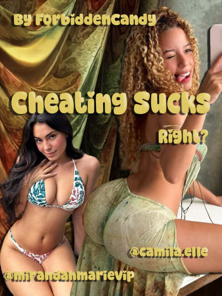 Cheating Sucks Right Cover