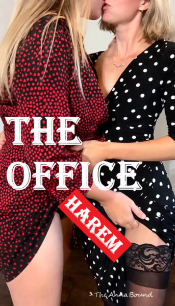 The Office Harem Cover